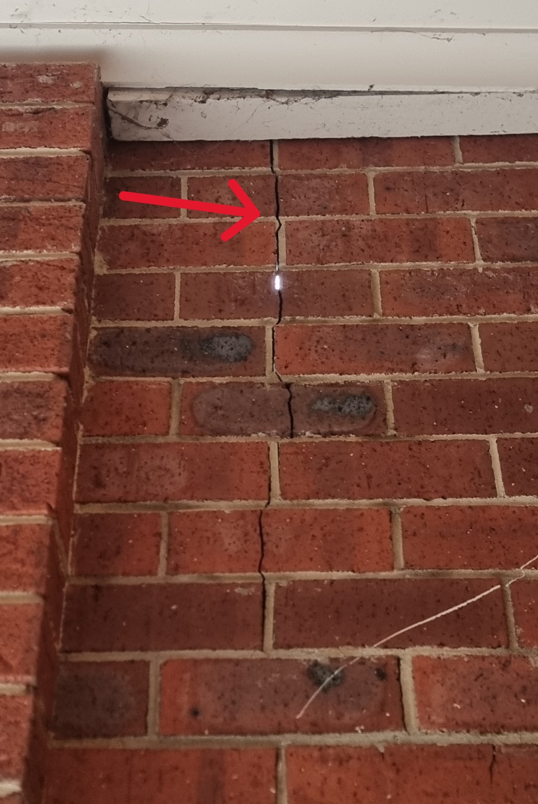 Brickwork - Major Defect Checklist | Aus Property Report