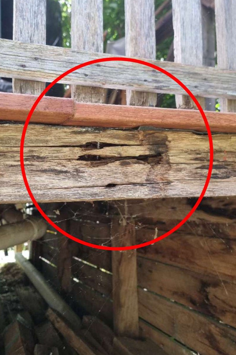 Structural Timber Risks Structural Timber - Major Defect Checklist | Aus Property Report