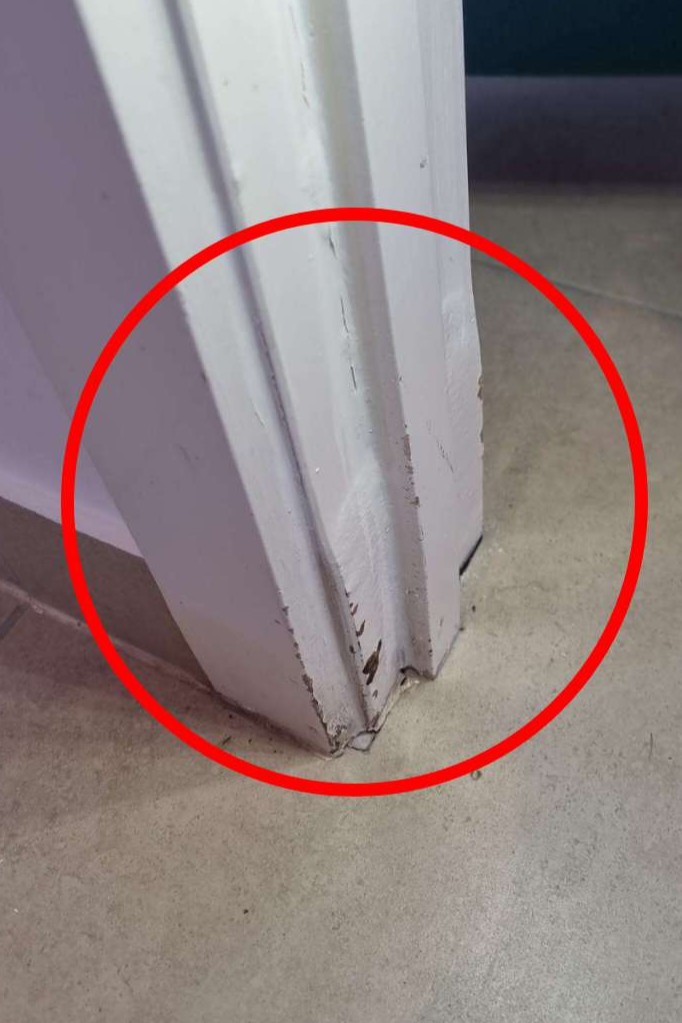Water Damage - Major Defect Checklist | Aus Property Report
