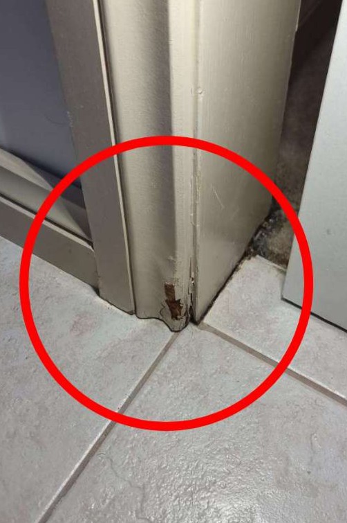 Water Damage - Major Defect Checklist | Aus Property Report