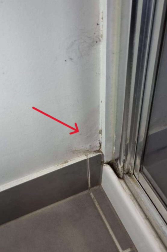 Water Damage - Major Defect Checklist | Aus Property Report