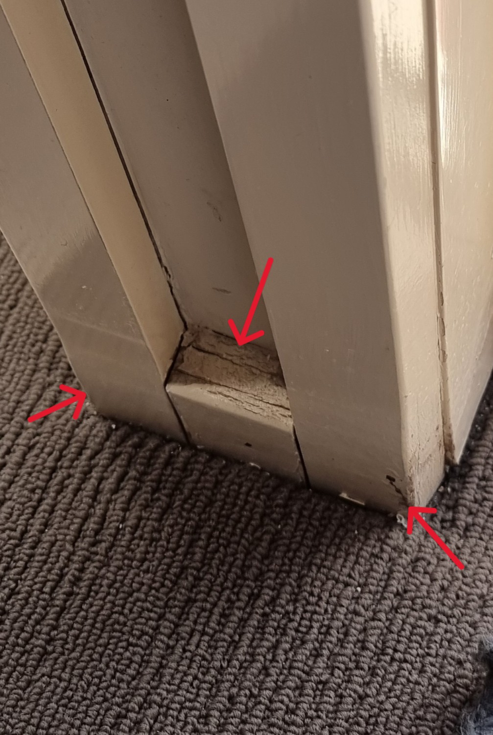 Water Damage - Major Defect Checklist | Aus Property Report