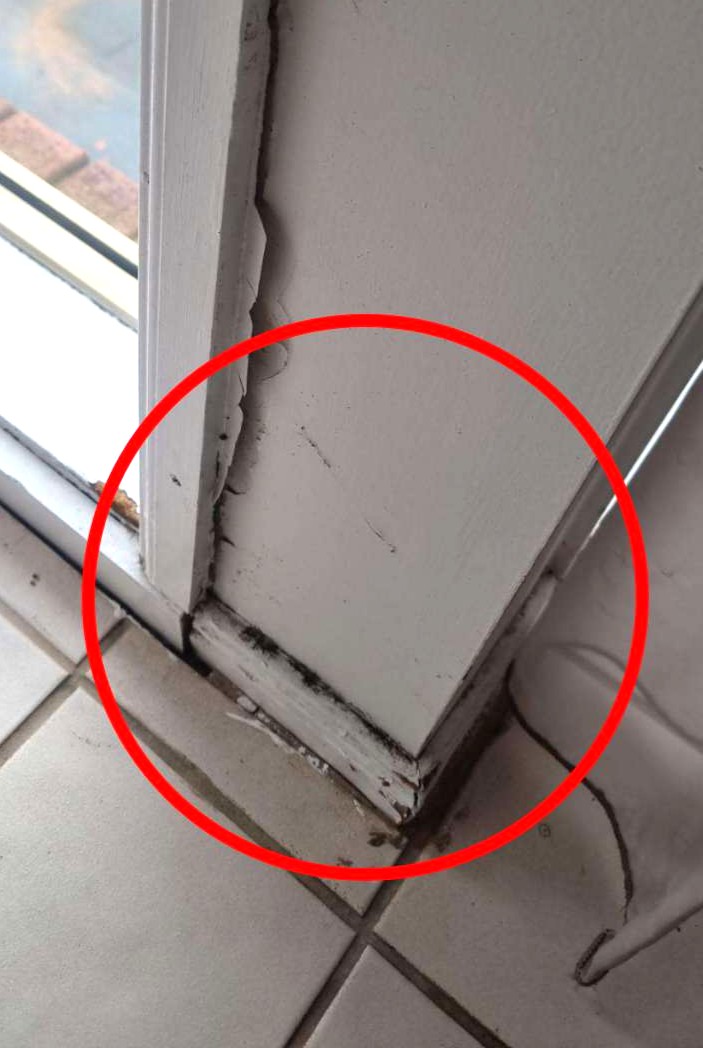 Windows - Major Defect Checklist | Aus Property Report